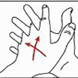 5в