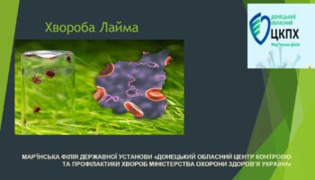 laim-borelioz_page-0001
