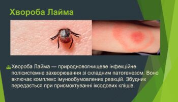 laim-borelioz_page-0002