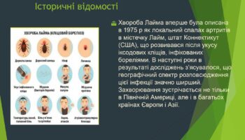 laim-borelioz_page-0003