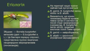laim-borelioz_page-0005