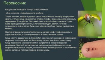 laim-borelioz_page-0006