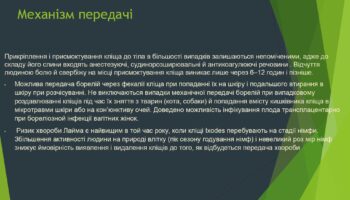 laim-borelioz_page-0007