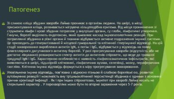 laim-borelioz_page-0008