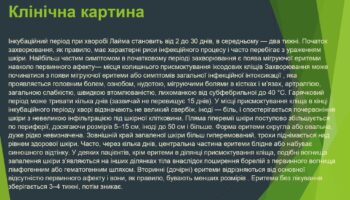laim-borelioz_page-0010