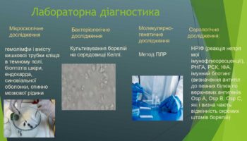laim-borelioz_page-0015