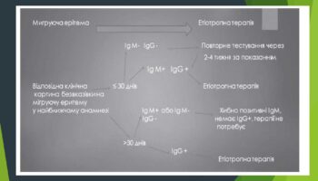 laim-borelioz_page-0017